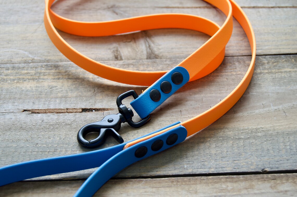 biothane leash