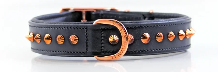 black leather studded collar