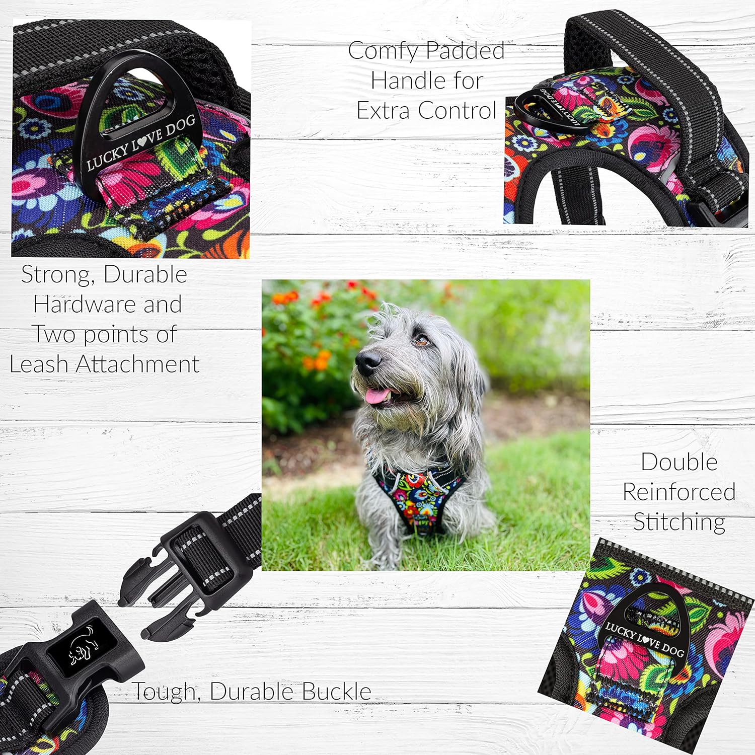 colorful dog harness
