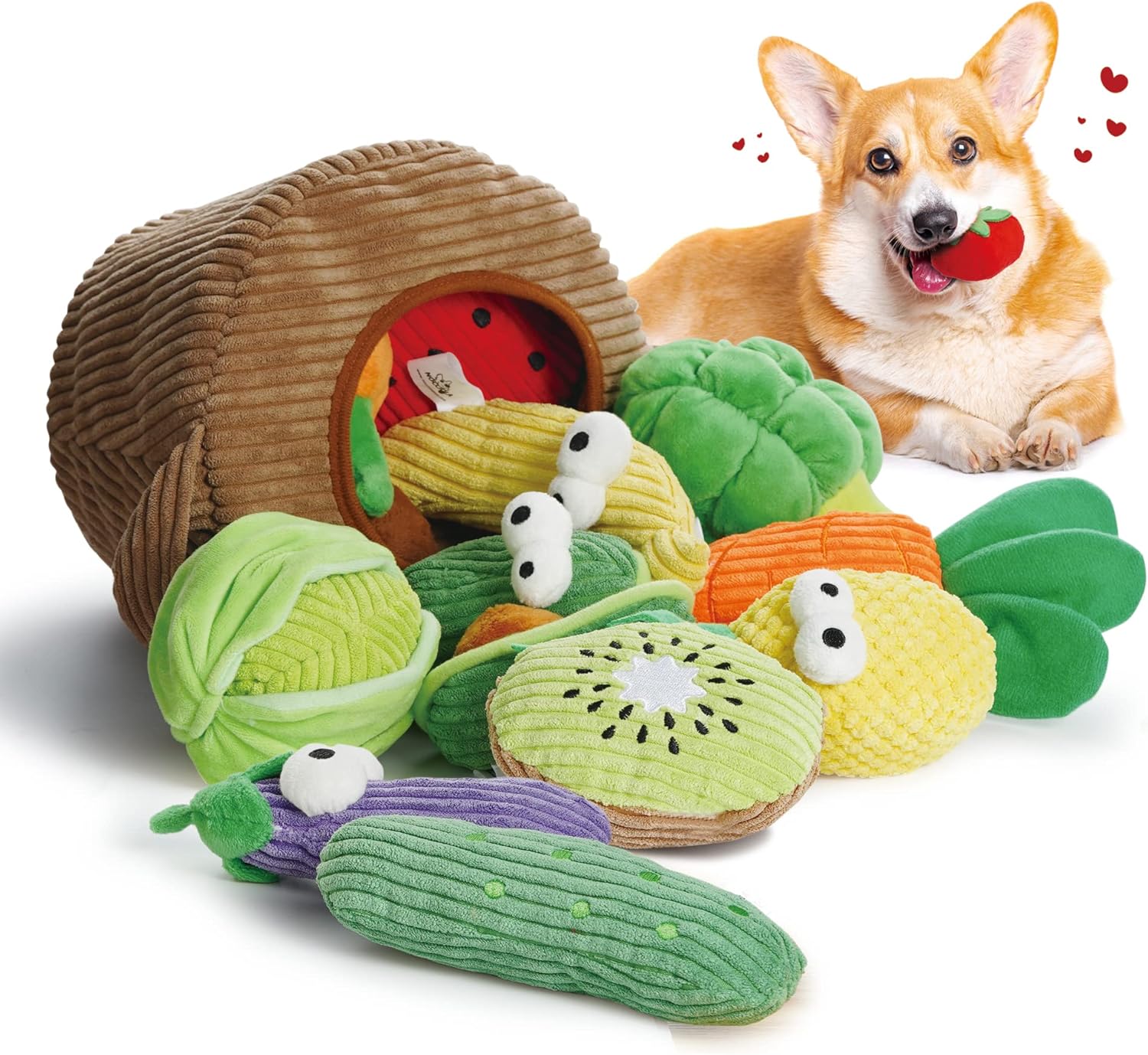 dog with dog toys