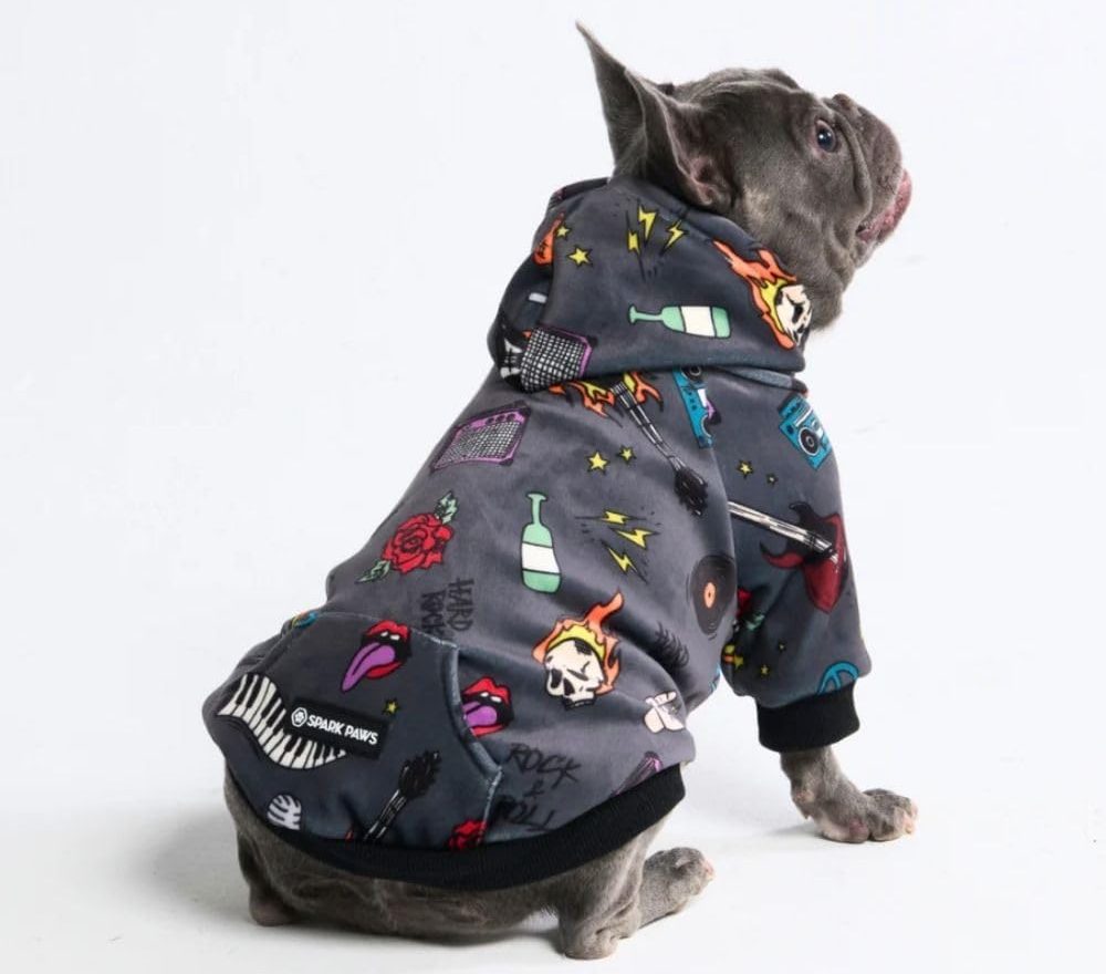 dog wearing gray hoodie