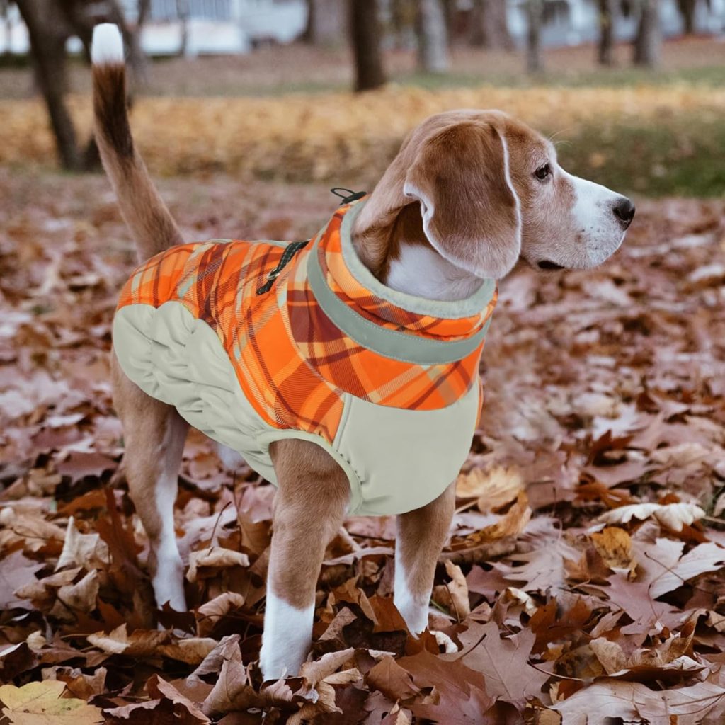 Walking Doggies Lelepet Warm Waterproof Dog Coat
