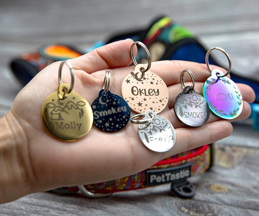 hand holding dog tags