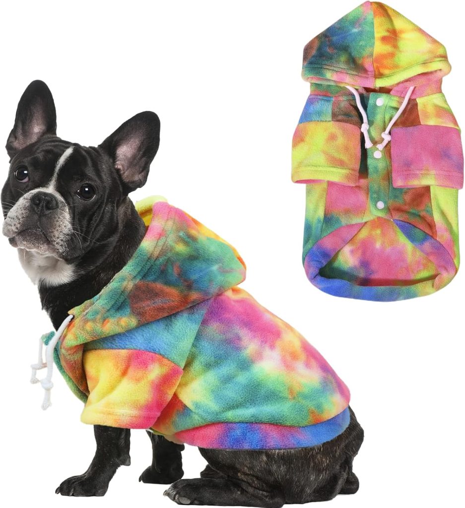 dog wearing colorful hoodie