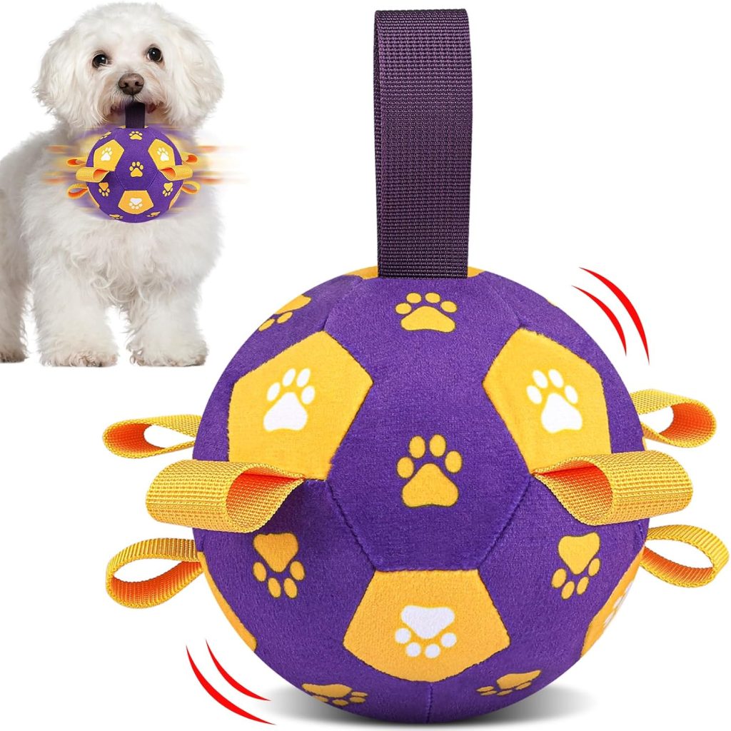 ball toy for dogs
