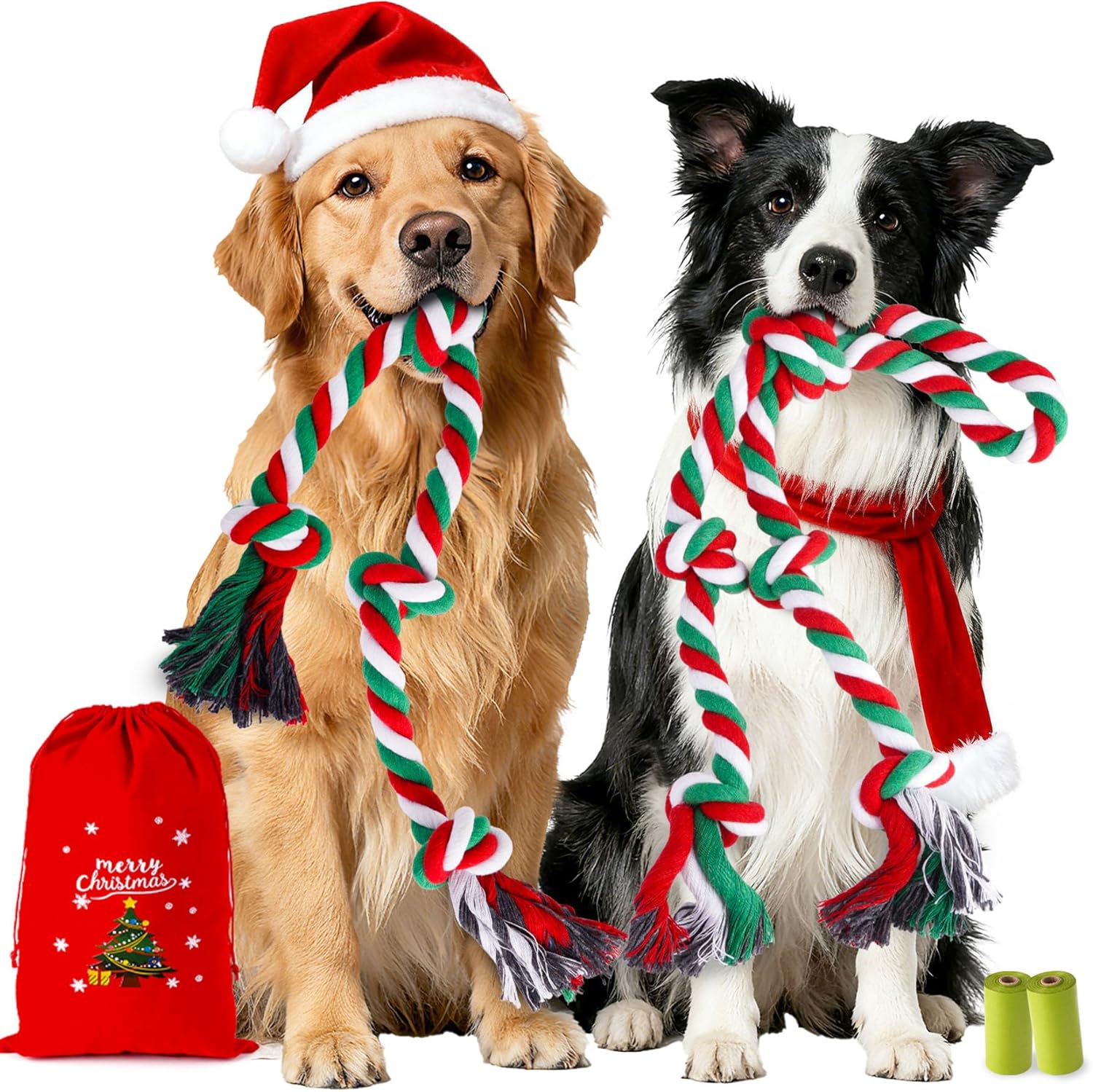 two dogs with rope toys in their mouths