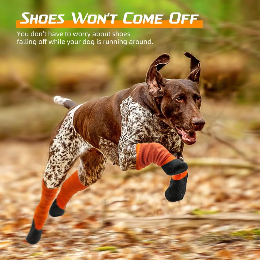 dog wearing orange boots running