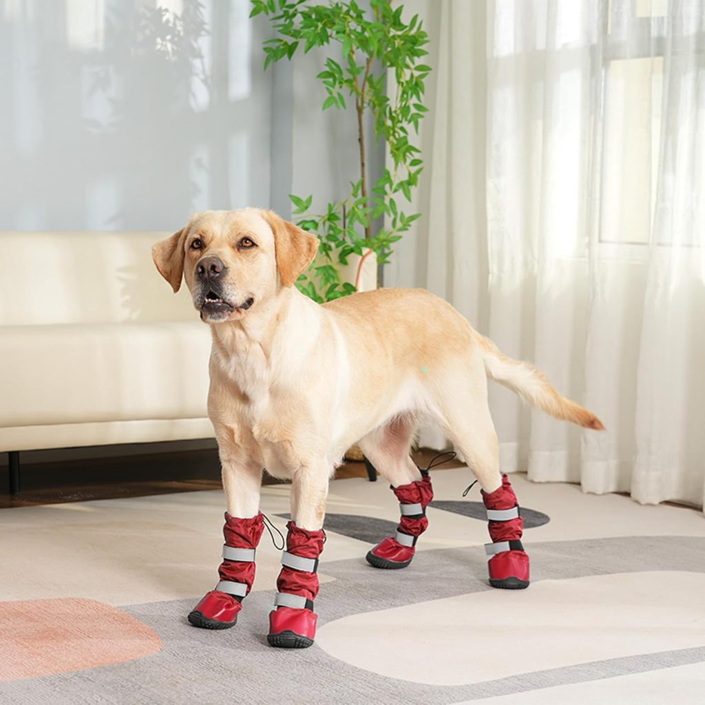 dog wearing long red boots
