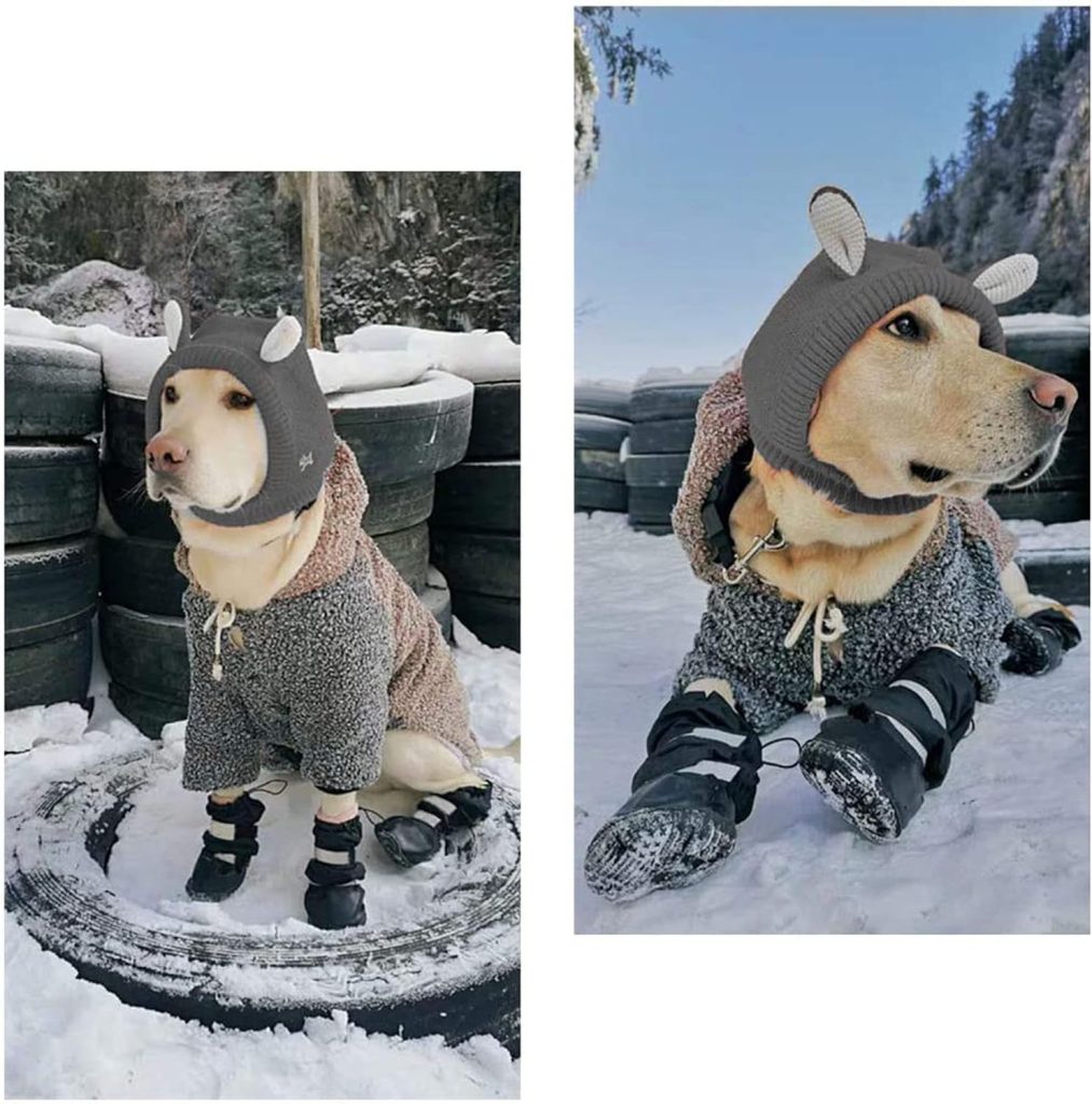 dog wearing winter coat and boots