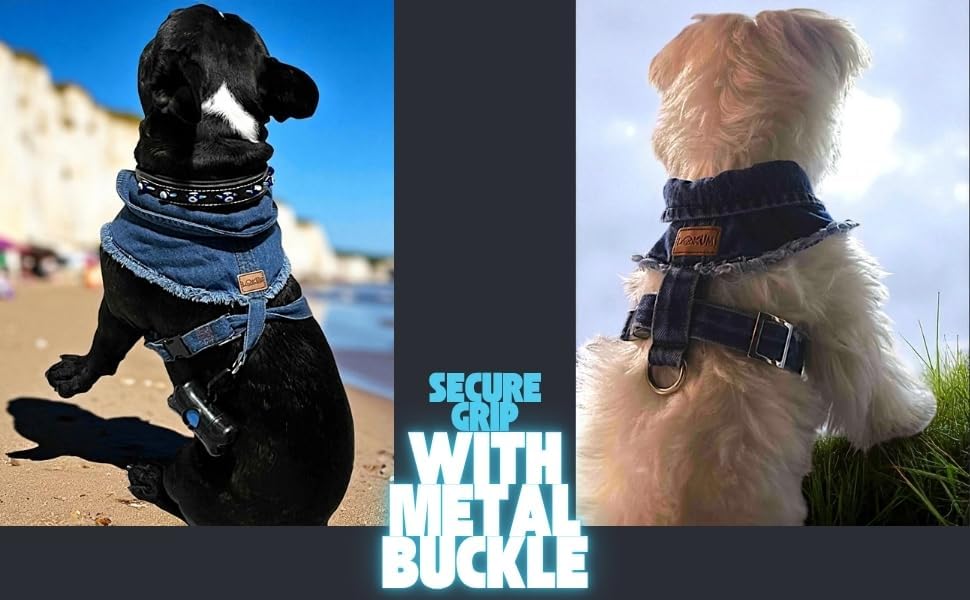 dogs wearing denim harness