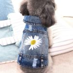 dog wearing denim jacket