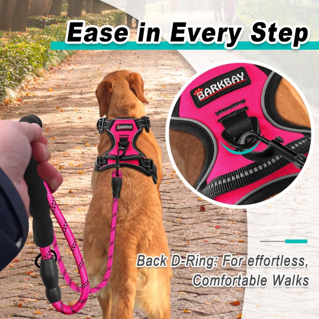 dog wearing black and pink harness