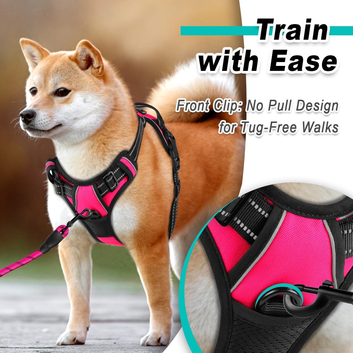 dog wearing black and pink harness