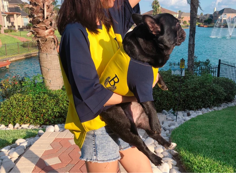 dog and owner wearing matching shirts