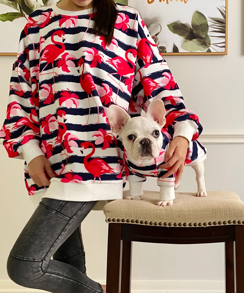 dog and owner wearing colorful shirts