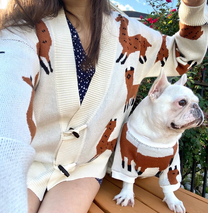 dog and owner wearing matching sweaters