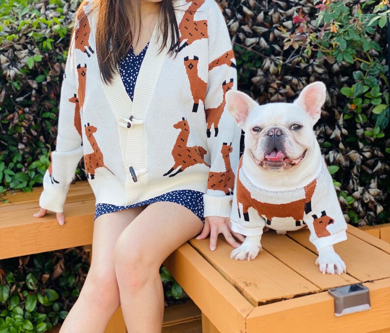 girl and dog wearing matching sweaters