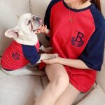 dog and owner wearing matching shirts