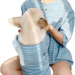 dog and owner wearing matching blue shirts