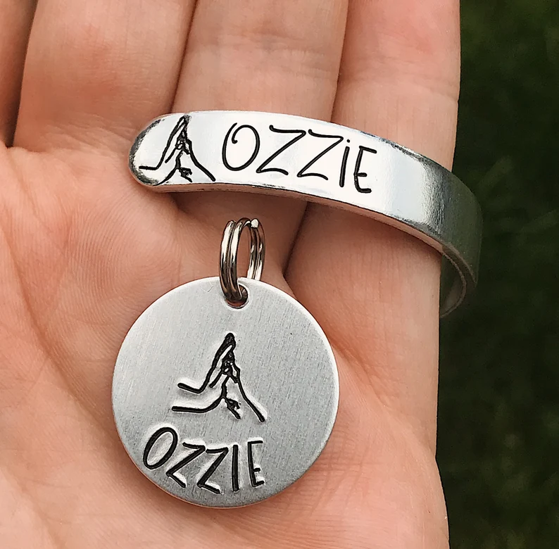 matching bracelet and dog collar charm