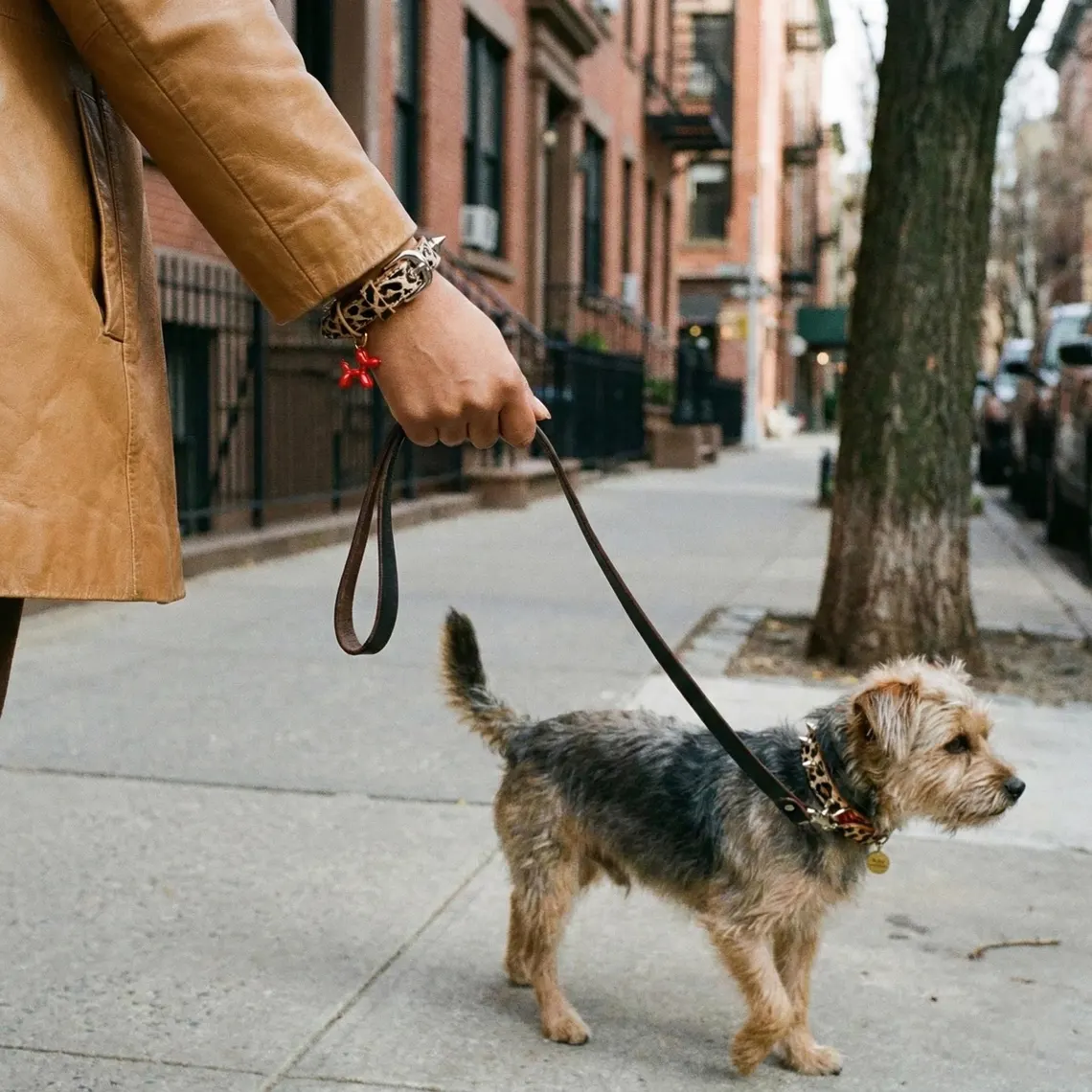 dog leash and matching bracelet