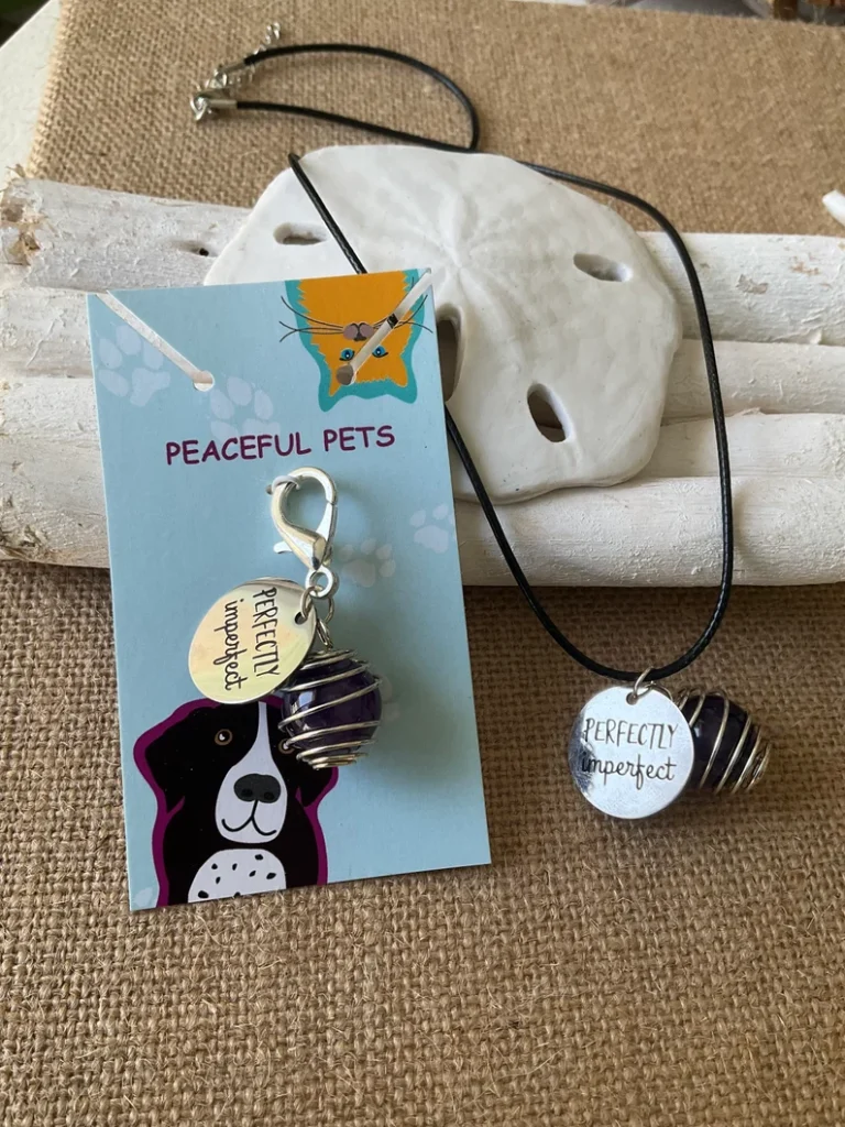 dog and owner matching charms