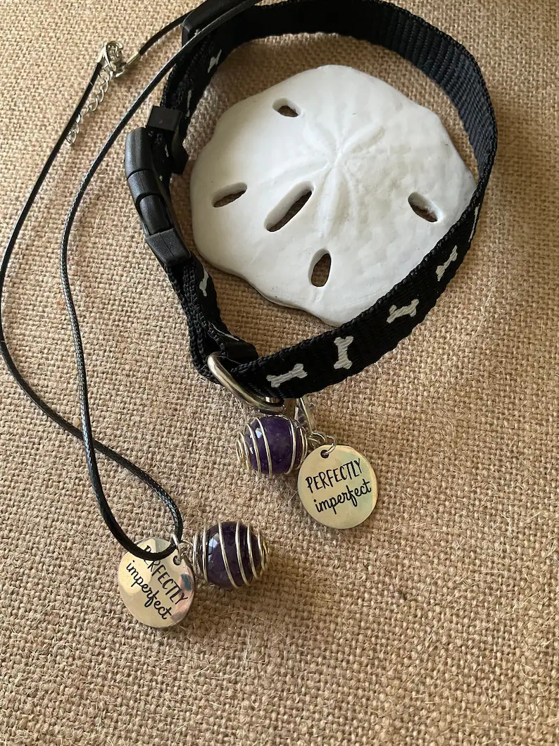 matching dog and owner charms