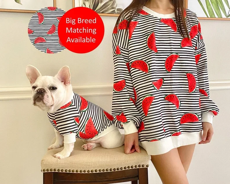 dog and owner wearing matching hoodies