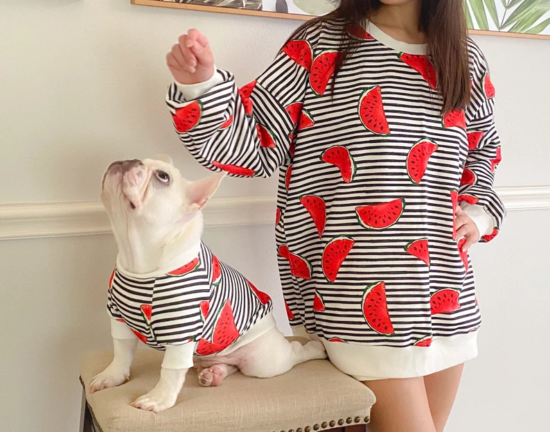 dog and owner wearing matching hoodies