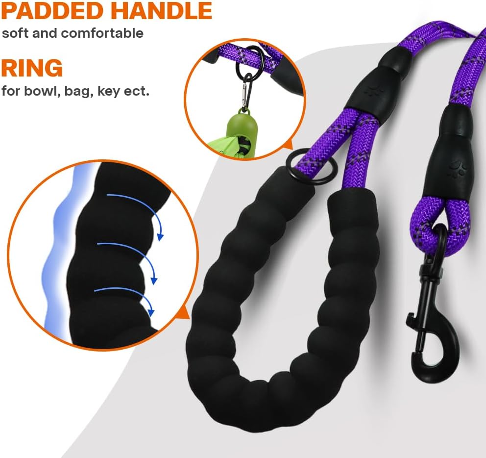 purple and black dog leash