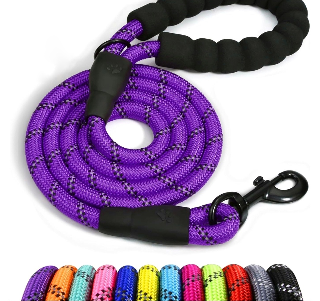 purple dog leash