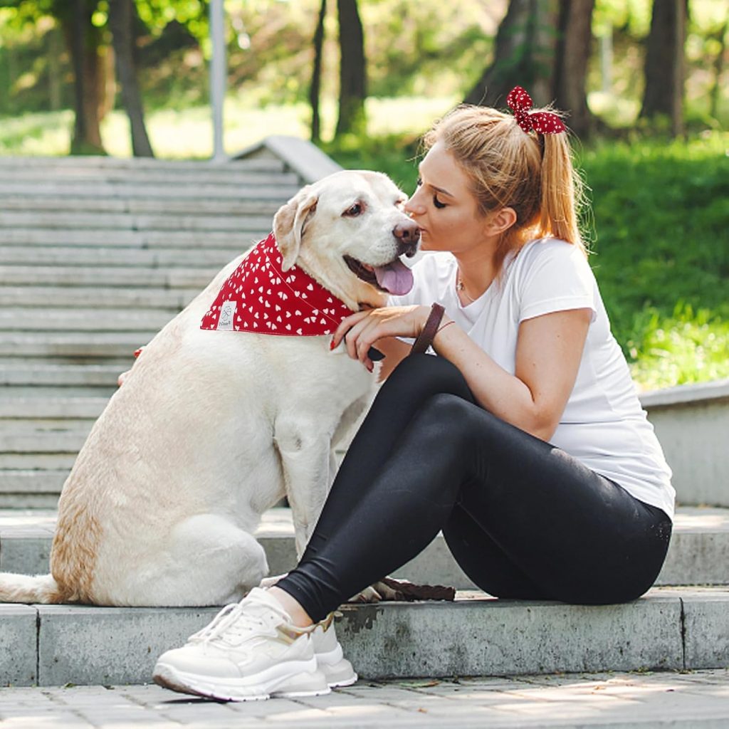dog and owner wearing red bandana and scrunchie
