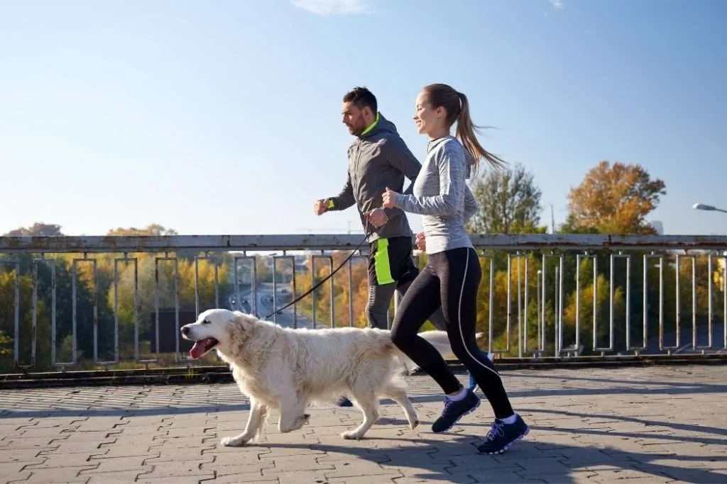 man and woman running with dog