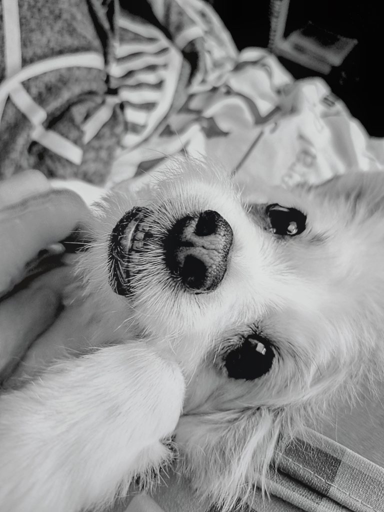 mack sideways