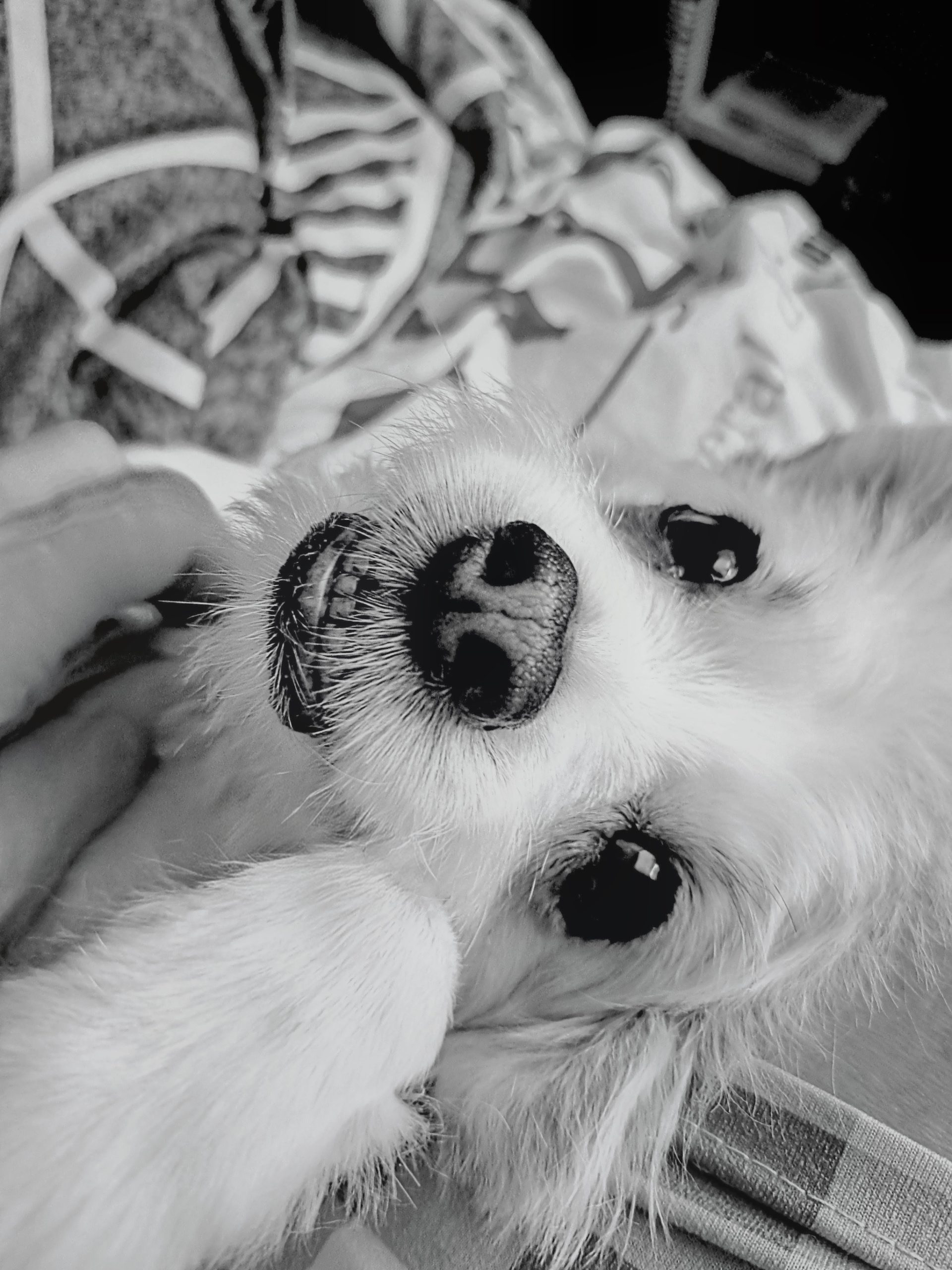 mack sideways